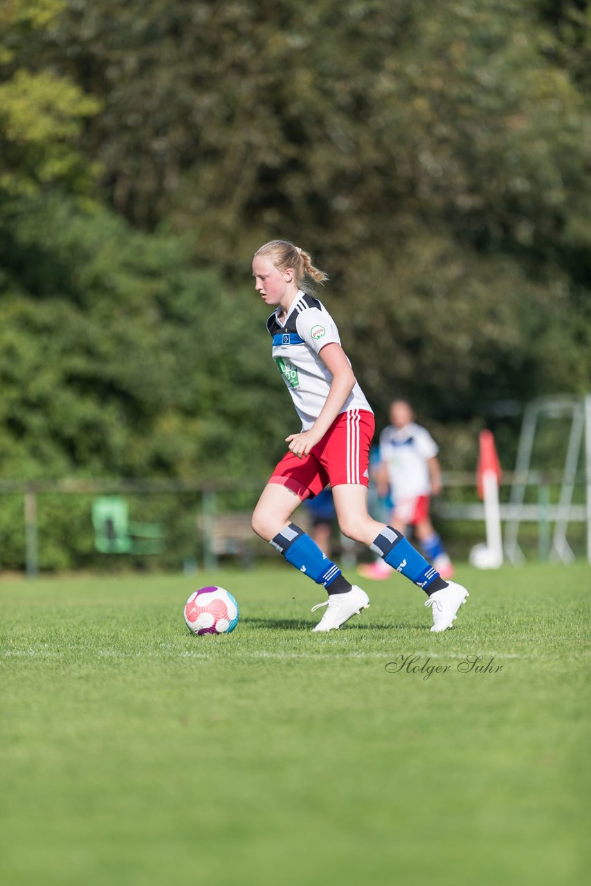 Bild 198 - wBJ VfL Pinneberg - Hamburger SV 2 : Ergebnis: 1:3